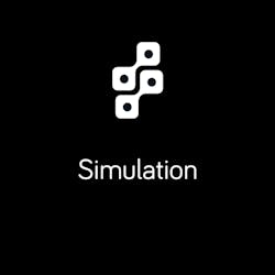 Simulation